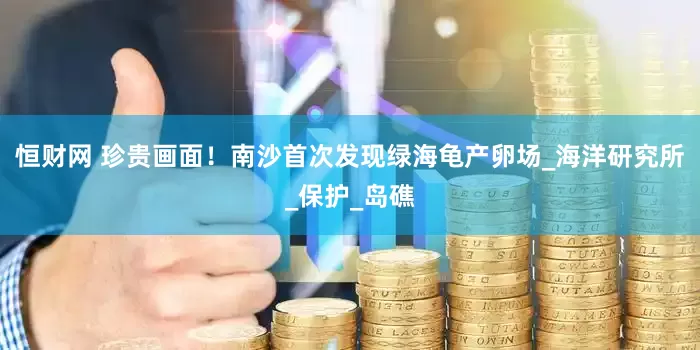 恒财网 珍贵画面！南沙首次发现绿海龟产卵场_海洋研究所_保护_岛礁
